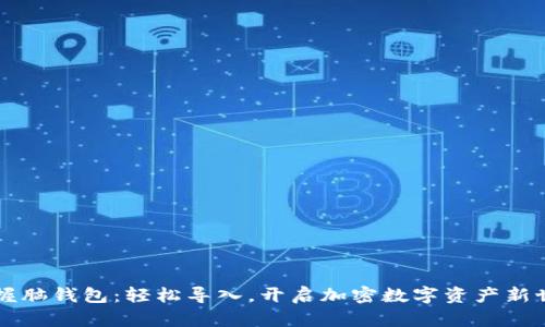 掌握脑钱包：轻松导入，开启加密数字资产新世界