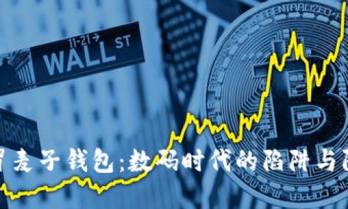 揭秘假冒麦子钱包：数码时代的陷阱与防范之道