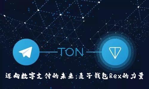 迈向数字支付的未来：麦子钱包Rex的力量